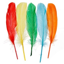 Plumes colorées