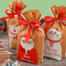 Sachets pour biscuits et chocolats de Noël