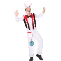 Costume de lapin d'Alice pour enfant