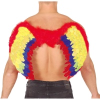 Ailes en plumes multicolores - 49 x 62 cm