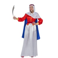 Costume Sinbad of the Seas pour femmes