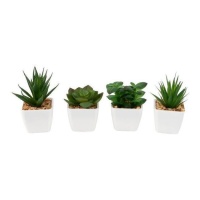 Plante artificielle de cactus avec pot blanc assorti de 10 cm