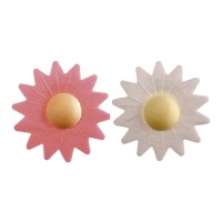 Gaufrettes de fleurs de marguerites blanches et roses de 4,5 cm - Dekora - 100 unités