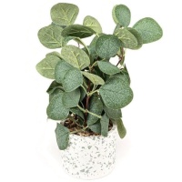 Plante artificielle à feuilles rondes avec pot style granit de 10,5 x 8 cm