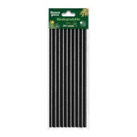 Pailles de 20 cm en papier biodégradable noir - Honest Green - 25 unités