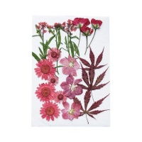 Fleurs séchées pressées Mix Rouge - Artemio - 12 unités