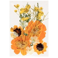 Fleurs séchées pressées Mix Golden - Artemio - 12 unités