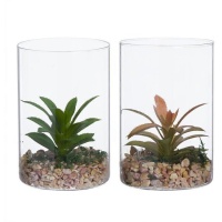 Plante artificielle de cactus avec pot en verre haut assortiment de 10 x 15 cm