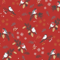 Tissu jersey Xmas Birds Time - Katia