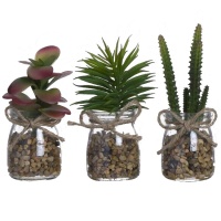 Plante artificielle de cactus avec pot en verre et ruban de jute, assorti de 5,5 x 12 cm