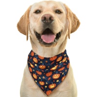 Foulard de citrouilles pour animaux de compagnie