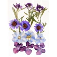 Fleurs séchées pressées Mix Purple - Artemio - 12 unités