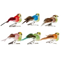 Set de mini oiseaux décorés avec clip - 6 pcs.