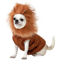 Costume de lion pour chien