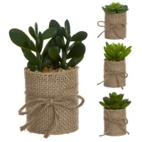 Plante artificielle de cactus avec pot couvert de jute assorti de 5 x 11 cm