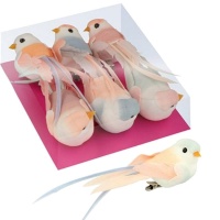 Ensemble de oiseaux décorés pastel moyens avec pince - 6 unités