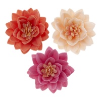 Gaufrettes de fleurs de lotus de 3 couleurs de 7 cm - Dekora - 15 unités