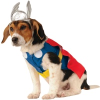 Costume de Thor pour chien