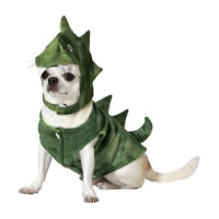 Costume de dinosaure pour chien